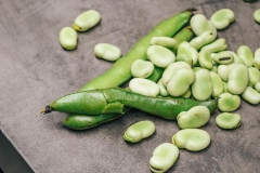 Fava Tonka (7)