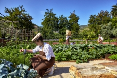 Six Senses Douro Valley (2)