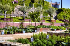 Six Senses Douro Valley (3)