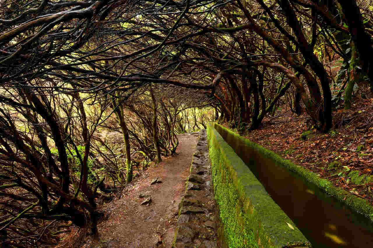 Levada do Caldeirão Verde na Madeira