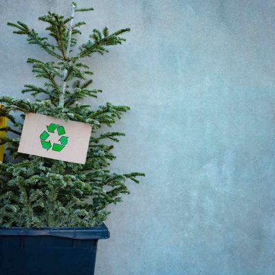 reciclar no Natal