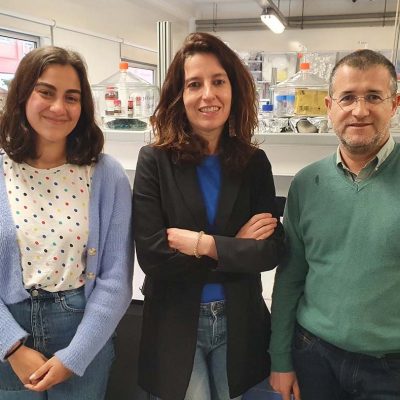 investigadores descobriram nova forma de reciclar o plástico